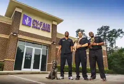 Veterinários do Texas